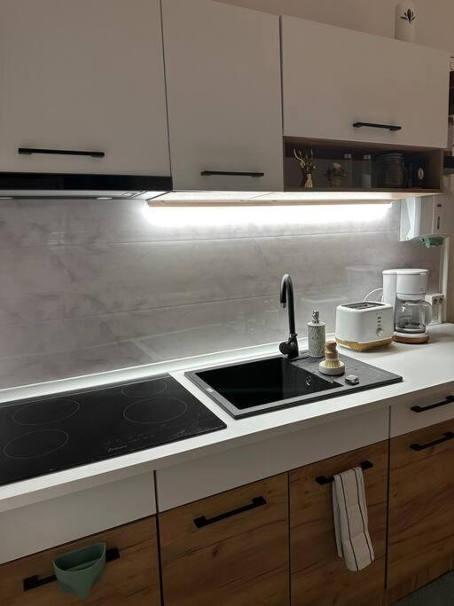 Zion Home Сибиу Екстериор снимка