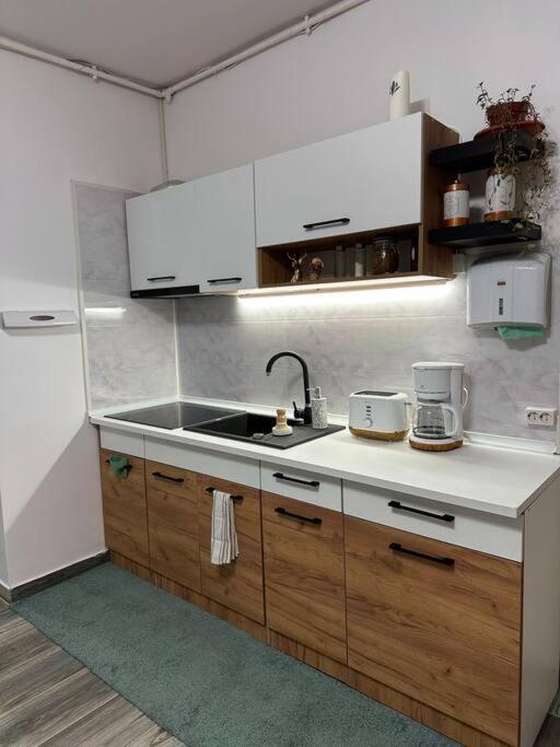 Zion Home Сибиу Екстериор снимка