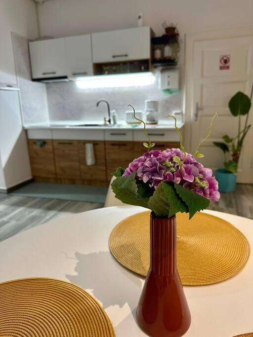 Zion Home Сибиу Екстериор снимка