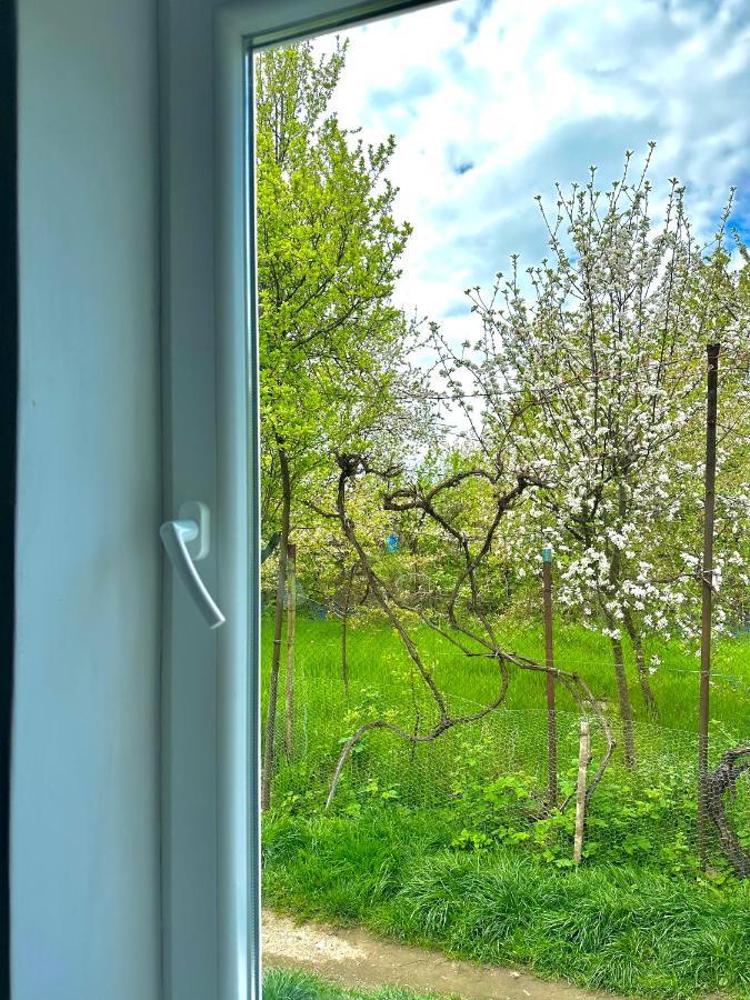Zion Home Сибиу Екстериор снимка